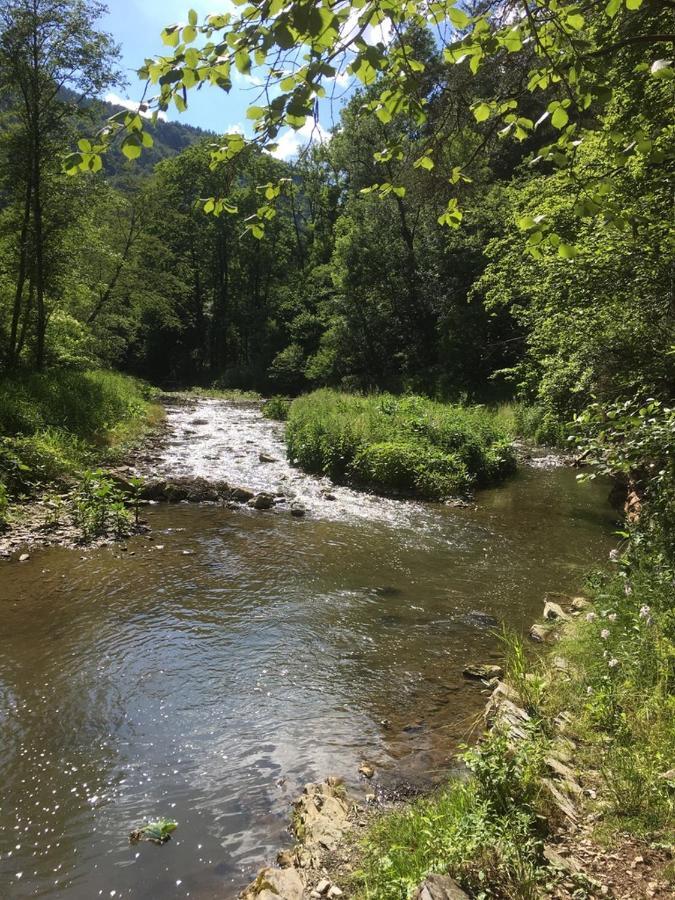 Ferienwohnung Raabklamm Arzberg Kültér fotó